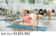 Young female teacher working out virabhadrasana surya namaskar with students group. Стоковое фото, фотограф Яков Филимонов / Фотобанк Лори