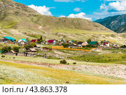 Села Малая Иня. Онгудайский район горного Алтая. Западная Сибирь. Стоковое фото, фотограф Евгений Мухортов / Фотобанк Лори