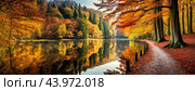 A path lined with tall trees with vibrant autumn leaves, reflecting in a calm lake, creating a picturesque and peaceful scene, ideal for a nature lover's retreat. Стоковое AI-изображение, AI-художник Igor Tichonow / Фотобанк Лори