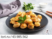 Traditional fried pelmeni, ravioli, dumplings filled with meat on black plate, russian kitchen. Gray concrete background, copy space. Стоковое фото, фотограф Глущенко Елена / Фотобанк Лори