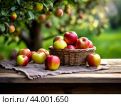 Корзина свежих спелых яблок в саду под яблоней. Яблочный Спас один из первых праздников урожая; день, с которого, по поверьям, природа разворачивалась от лета к осени и зиме. Стоковое AI-изображение, AI-художник Сергей Елизарьев / Фотобанк Лори