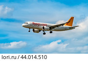 AIRPORT FRANKFURT,GERMANY: JUNE 23, 2017: Airbus A320 Pegasus Airlines is a Turkish low-cost airline,with bases at several Turkish airports. Редакционное фото, фотограф Андрей Армягов / Фотобанк Лори