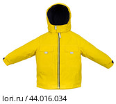 Warm jacket isolated. Стоковое фото, фотограф Андрей Армягов / Фотобанк Лори