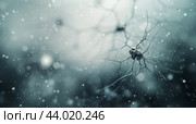 Microscopic Neurons in a Monochrome Environment With Bokeh Effect. Стоковое AI-изображение, AI-художник Юлия Гапеенко / Фотобанк Лори