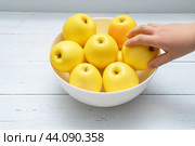 Детская рука тянется к желтым спелым яблокам на столе. Стоковое фото, фотограф Viktoriya S. / Фотобанк Лори