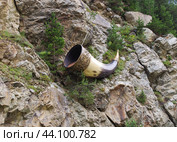 Рог изобилия. Россия, Северная Осетия - Алания, Бурон (2024 год). Стоковое фото, фотограф Marina Lavrukhina / Фотобанк Лори