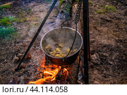 Картошка с тушенкой в казане на костре. Стоковое фото, фотограф Илья Старков / Фотобанк Лори
