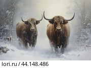Majestic Two bulls in wintertime. Generate ai. Стоковое AI-изображение, AI-художник Иван Рябоконь / Фотобанк Лори