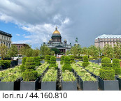 Вид из сада на Синем мосту, кусты подстрижены в форме шахмат, на Исаакиевский собор Санкт-Петербурга на фоне неба с облаками летним днем (2024 год). Стоковое фото, фотограф Елена Яворская / Фотобанк Лори
