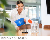 Female office coordinator placing flags of Japan and NATO on table. Стоковое фото, фотограф Яков Филимонов / Фотобанк Лори