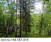 Смотровая площадка на реку Безголова (2024 год). Редакционное фото, фотограф Арсентьев Никита / Фотобанк Лори