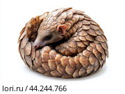 A pangolin curled up in its defensive position, scales tightly packed. Стоковое AI-изображение, AI-художник Veniamin Kraskov / Фотобанк Лори