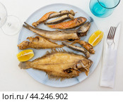 On white background, there is plate with fried fish of different varieties. Стоковое фото, фотограф Яков Филимонов / Фотобанк Лори