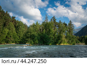 View of the confluence of the Kyzgych and Psysh rivers forming the Bolshoy Zelenchuk River in the northern foothills of the Caucasus Mountains on a summer day, Arkhyz, Karachay-Cherkessia, Russia. Стоковое фото, фотограф Ula Ulachka / Фотобанк Лори