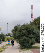 Сквер в около переулка Русанова, город Мурманск (2024 год). Стоковое фото, фотограф Юлия Юриева / Фотобанк Лори