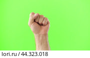 Male Hand Making Rise Up Sign Symbol. Chroma Key Green Screen Background. Gesture Movement. Body Language. 4K Footage. Close Up. Raised Hand. Clenched Closed Fist. Raised Up. Human Equal Rights. Vote. Стоковое видео, видеограф Марина Демидюк / Фотобанк Лори