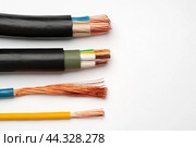 Various Electrical Wires With Exposed Copper Strands on White Background. Стоковое фото, фотограф Сергей Толмачёв / Фотобанк Лори