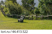 A wooden bench for relaxing on a green manicured lawn. Behind is a log fence, thickets of tropical forest. Mauritius. Стоковое фото, фотограф Вера Ивановна Кубарева / Фотобанк Лори