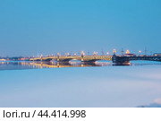 Троицкий мост. Зимний ночной пейзаж. Санкт-Петербург (2024 год). Редакционное фото, фотограф Ольга Визави / Фотобанк Лори