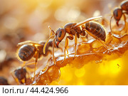 Golden Ants honey drop. Generate Ai. Стоковое AI-изображение, AI-художник Иван Рябоконь / Фотобанк Лори