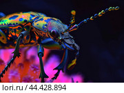 Mesmerizing Arthropod antient neon image. Generate Ai. Стоковое AI-изображение, AI-художник Иван Рябоконь / Фотобанк Лори