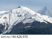 Бзерпи, Коготь и Псеашхо сахарный. Стоковое фото, фотограф Алексей Стрельцов / Фотобанк Лори