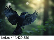 Elegant Black bird reaches up. Generate ai. Стоковое AI-изображение, AI-художник Иван Рябоконь / Фотобанк Лори