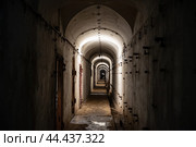 Внутрение галереи форта "Риф". Форт "Риф" - оборонительные сооружения Кронштадта.  Западная часть острова Котлин, Россия (2022 год). Стоковое фото, фотограф Дымов Игорь / Фотобанк Лори