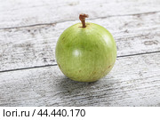 Tropical sweet fruit Sapote Star apple. Стоковое фото, фотограф Андрей Старостин / Фотобанк Лори