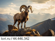 Mountain wild argali on the top of a rock against the backdrop of a mountain landscape. Стоковое AI-изображение, AI-художник Veniamin Kraskov / Фотобанк Лори