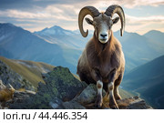 Mountain wild argali on the top of a rock against the backdrop of a mountain landscape. Стоковое AI-изображение, AI-художник Veniamin Kraskov / Фотобанк Лори
