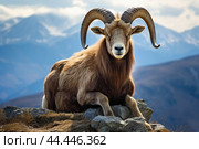 Mountain wild argali on the top of a rock against the backdrop of a mountain landscape. Стоковое AI-изображение, AI-художник Veniamin Kraskov / Фотобанк Лори