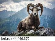 Mountain wild argali on the top of a rock against the backdrop of a mountain landscape. Стоковое AI-изображение, AI-художник Veniamin Kraskov / Фотобанк Лори