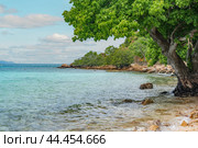 Landscape, sea, southeast asia. Beautiful landscape, Koh Larn island, Pattaya, Thailand. (2023 год). Стоковое фото, фотограф Павел Муравьев / Фотобанк Лори