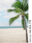 Summer beach background. White Sand and sea. Palm tree and amazing cloudy blue sky at tropical beach island in Indian Ocean. (2023 год). Стоковое фото, фотограф Павел Муравьев / Фотобанк Лори
