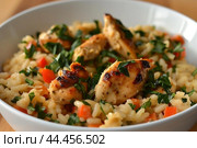 Grilled chicken and vegetable risotto in a white bowl. Стоковое AI-изображение, AI-художник Иван Рябоконь / Фотобанк Лори
