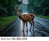 Deer buck darts across the road right in front of car during the rut in autumn. Стоковое AI-изображение, AI-художник Владимир Григорьев / Фотобанк Лори