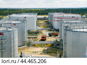 Нефтяные цистерны на фоне таежного леса. Стоковое фото, фотограф Павел Просянов / Фотобанк Лори