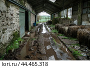 Abandoned farm shed with overgrown equipment. Стоковое AI-изображение, AI-художник Иван Рябоконь / Фотобанк Лори