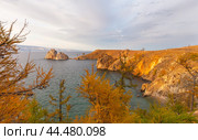 Bright Autumn landscape of Baikal Lake on October sunset. View of famous Shamanka Rock - natural landmark of Olkhon Island. Natural background with yellowed larch trees. Travel and outdoors. Стоковое фото, фотограф Виктория Катьянова / Фотобанк Лори
