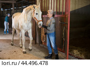 Older woman rancher caressing white racehorse after riding. Стоковое фото, фотограф Яков Филимонов / Фотобанк Лори