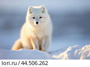 Cute Arctic Fox. Стоковое AI-изображение, AI-художник Veniamin Kraskov / Фотобанк Лори