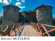 Fortress Koporye. Leningrad region (2024) Стоковое фото, фотограф Анна Кривицкая / Фотобанк Лори