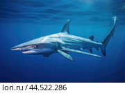 Blue shark (Prionace glauca) in blue water. Стоковое AI-изображение, AI-художник Veniamin Kraskov / Фотобанк Лори