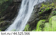 A stream of water cascades down dark, wet rocks, surrounded by moss and tropical vegetation. Close up (2024 год). Редакционное видео, видеограф Strunov David / Фотобанк Лори
