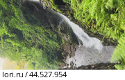 Waterfall that originates from mountain peaks and cascades down over rocks eventually becomes a river within the rainforest (2024 год). Редакционное видео, видеограф Strunov David / Фотобанк Лори