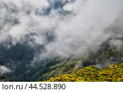 Aerial drone view of Curral das Freiras village, Madeira, Portugal (2024 год). Стоковое фото, фотограф Дмитрий Рухленко / Фотобанк Лори