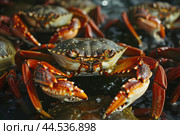 Lucrative Bering sea fishing crabs. Generate Ai. Стоковое AI-изображение, AI-художник Иван Рябоконь / Фотобанк Лори