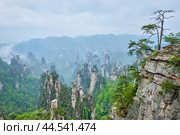 Famous tourist attraction of China - Zhangjiajie mountains, China. Стоковое фото, фотограф Дмитрий Рухленко / Фотобанк Лори