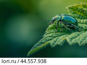Vibrant weevil on green leaf. Стоковое AI-изображение, AI-художник Иван Рябоконь / Фотобанк Лори